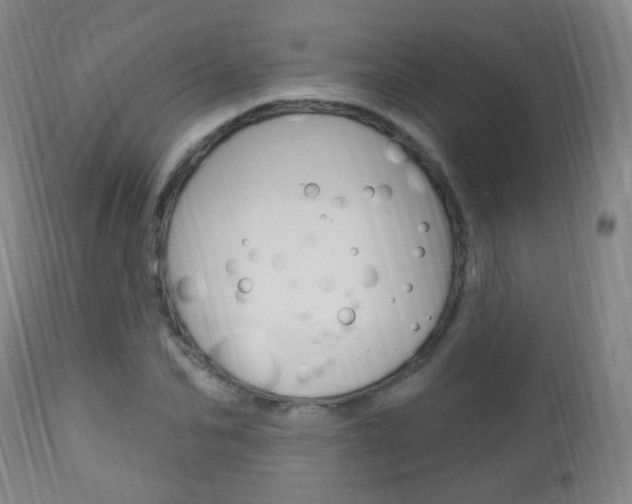 X0000113130974200909040929