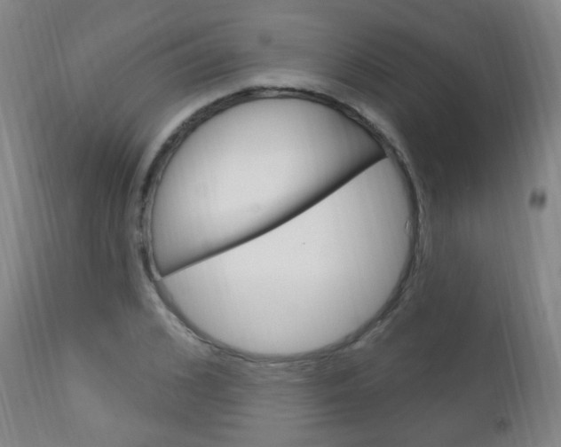 X0000113130976200909040929