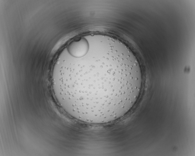X0000113130978200909040929