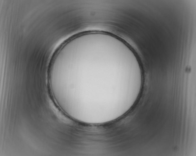 X0000113130980200909040929
