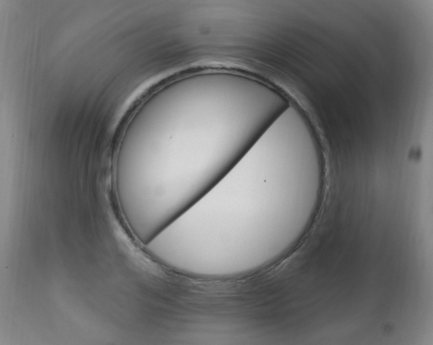 X0000113130984200909040929