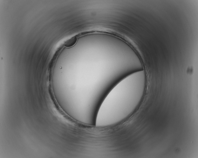 X0000113130987200909040929