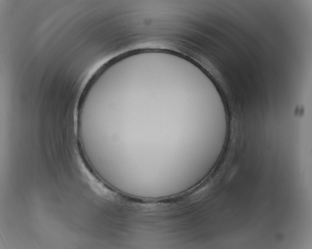 X0000113130988200909040929