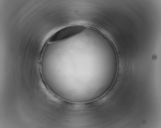 X0000113130989200909040929