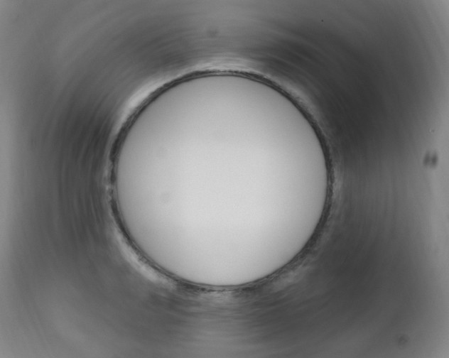 X0000113130990200909040929