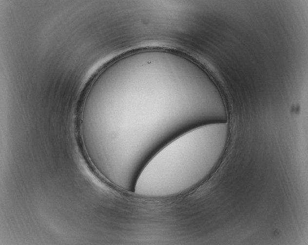 X0000113130991200909040929