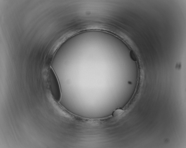X0000113130993200909040928