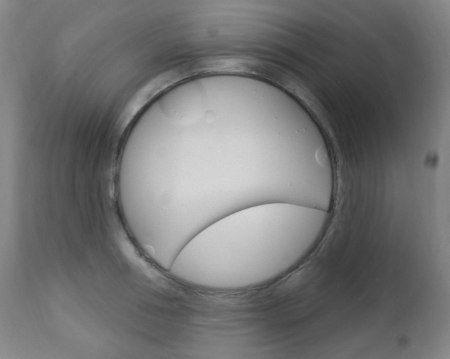 X0000113130994200909040928