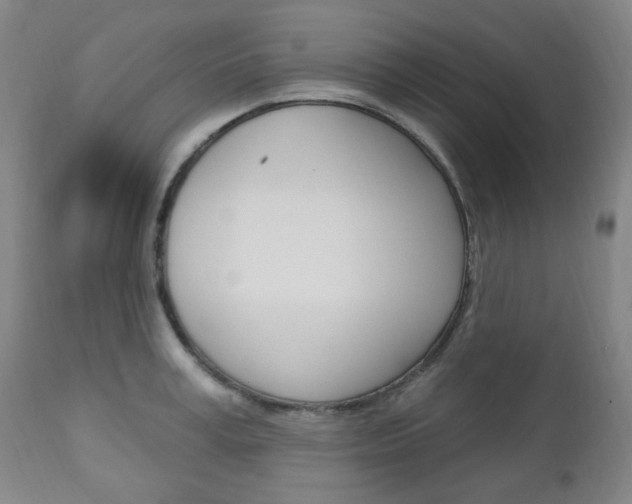X0000113130995200909040928