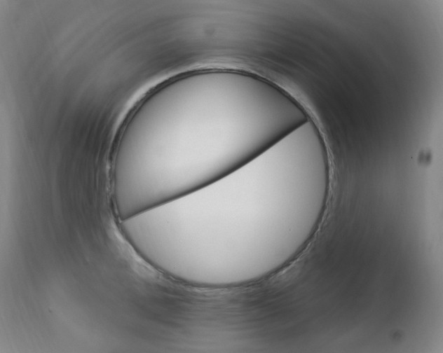 X0000113130996200909040928
