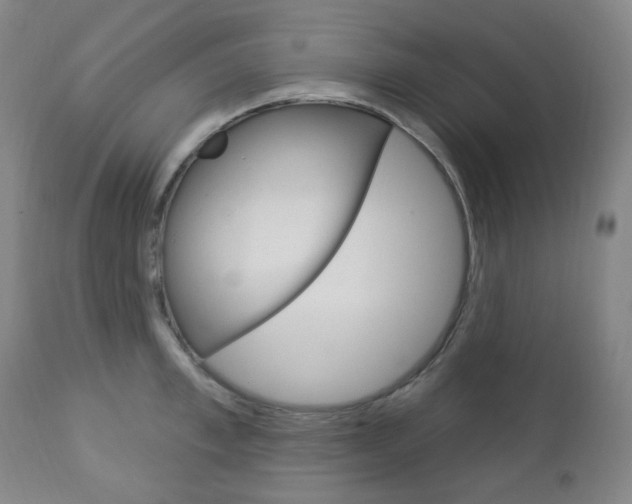 X0000113130997200909040928