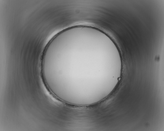 X0000113130999200909040928