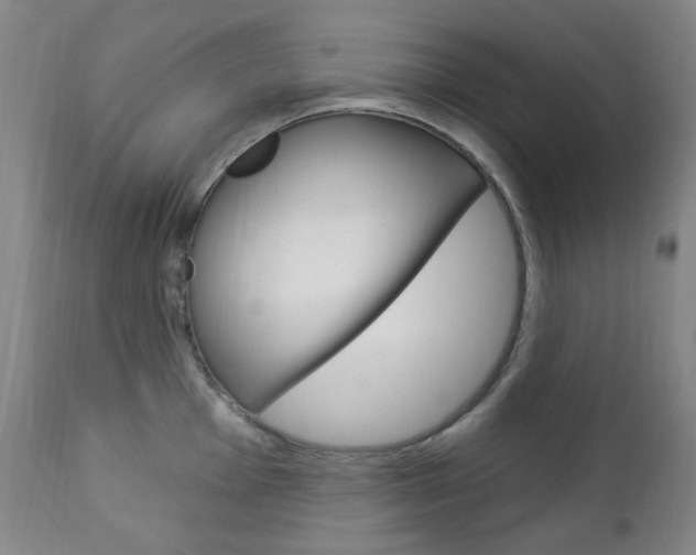X0000113131001200909040928