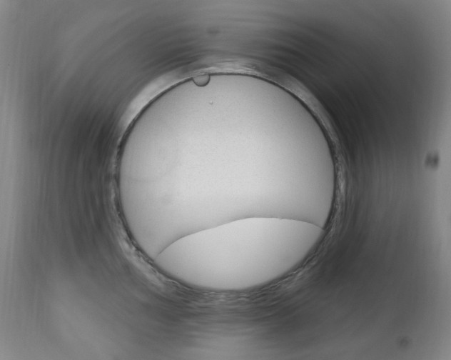 X0000113131002200909040928