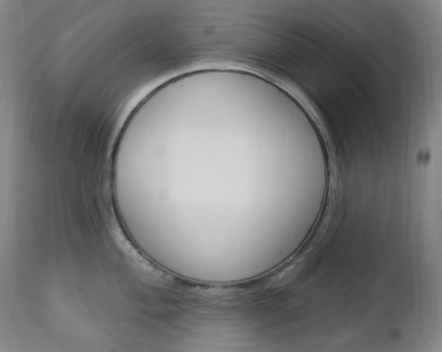 X0000113131004200909040928