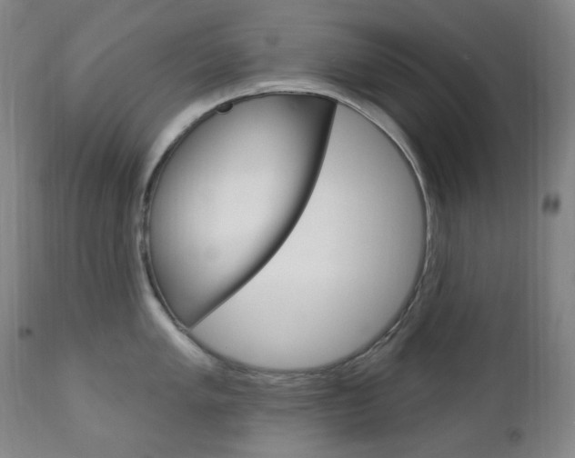 X0000113131005200909040928
