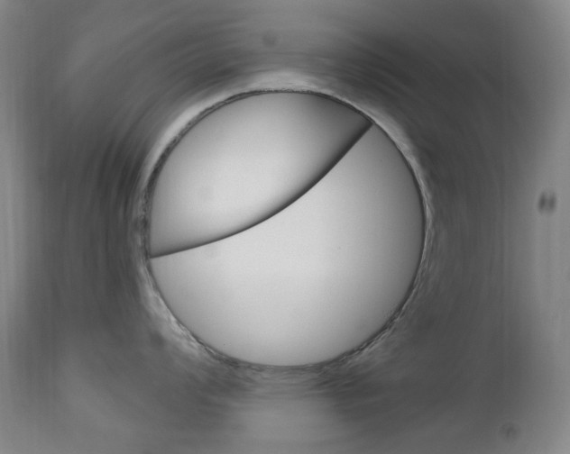 X0000113131008200909040928
