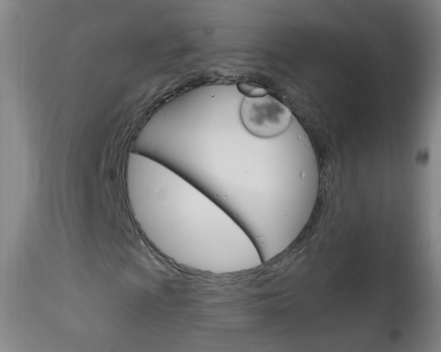 X0000113131009200909040927