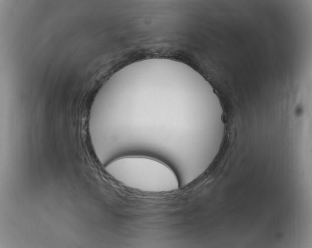 X0000113131010200909040927
