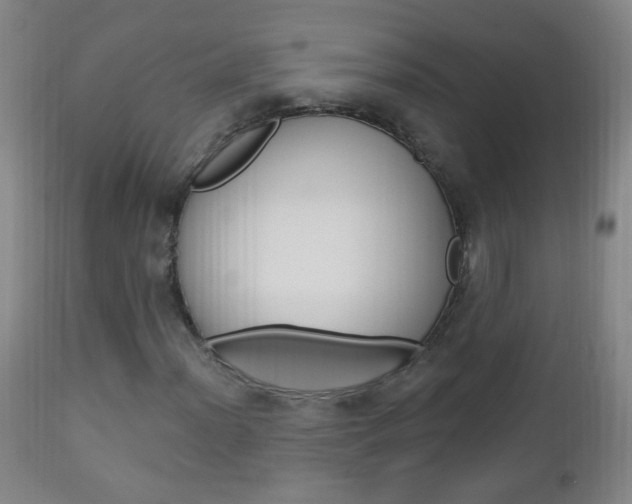 X0000113131012200909040927