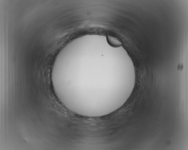 X0000113131013200909040928