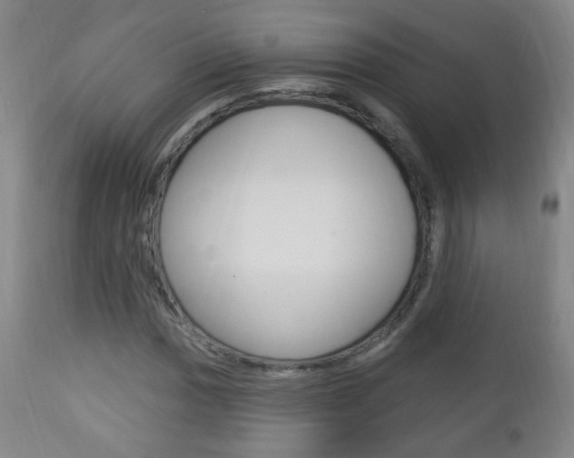 X0000113131017200909040928