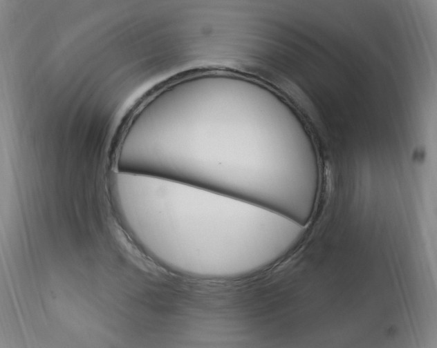 X0000113131020200909040928
