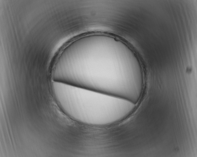X0000113131022200909040928