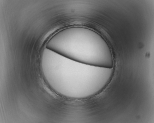 X0000113131026200909040928