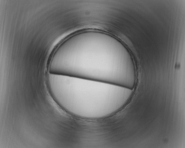 X0000113131028200909040928