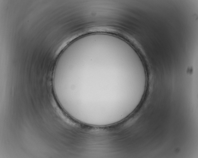 X0000113131033200909040928