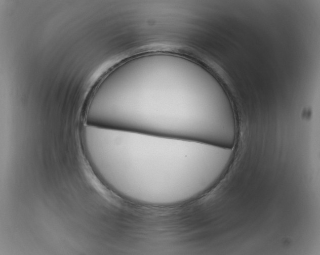 X0000113131034200909040928