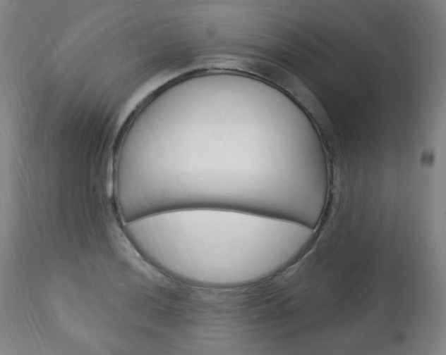 X0000113131036200909040928