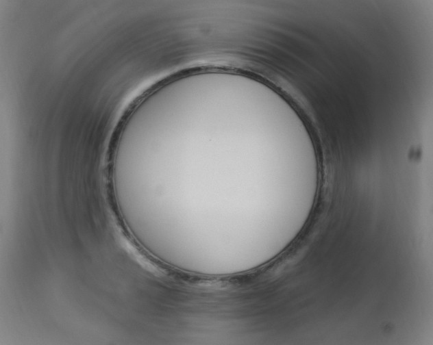 X0000113131037200909040928