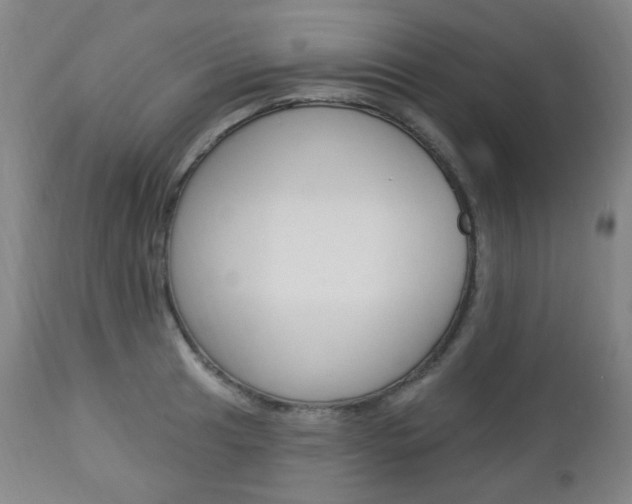 X0000113131041200909040928