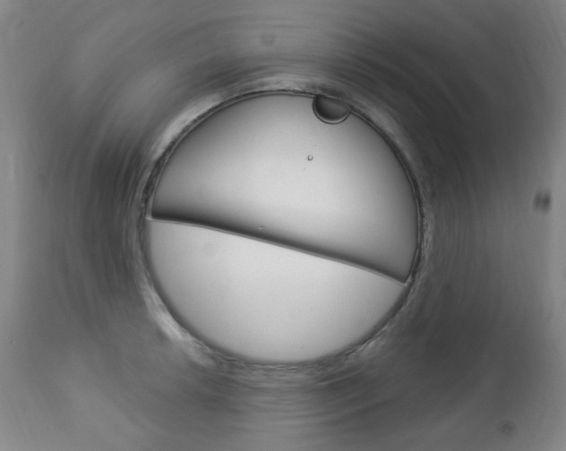X0000113131042200909040928