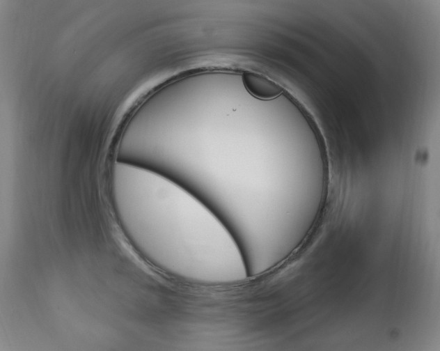 X0000113131045200909040928