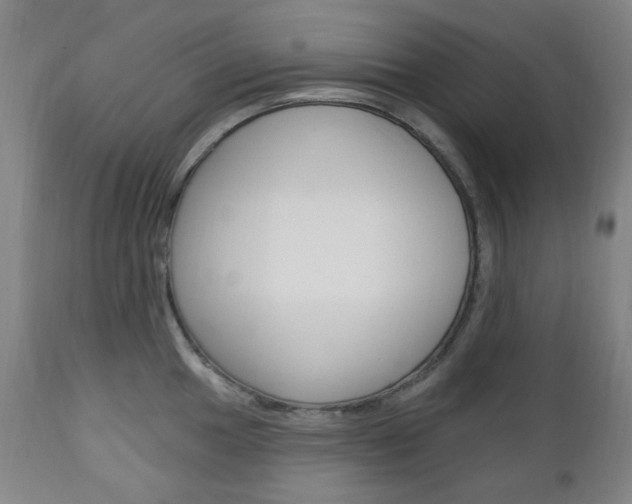 X0000113131049200909040928