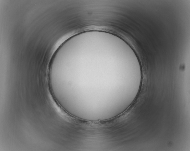 X0000113131050200909040928