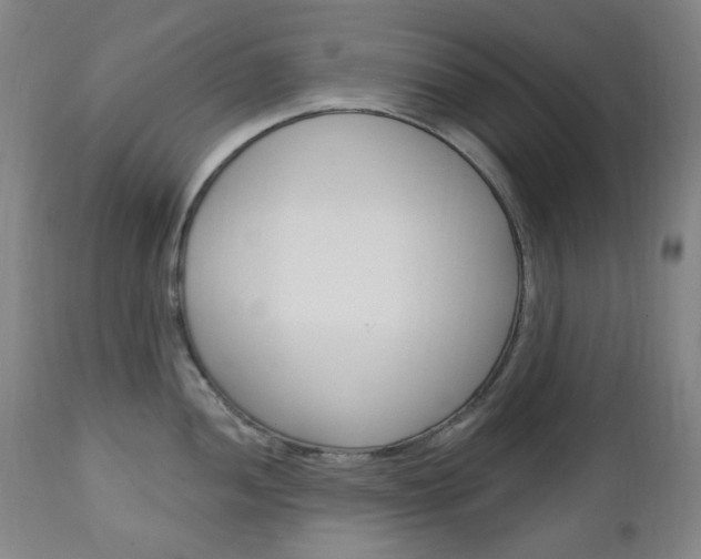X0000113131052200909040928