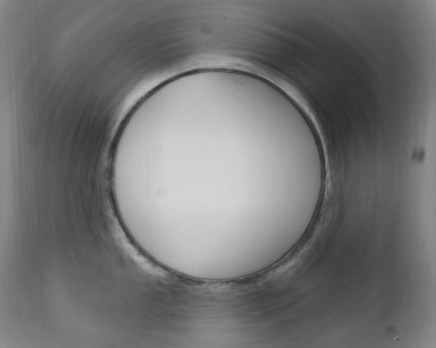 X0000113131053200909040928