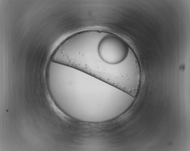 X0000113131054200909040928