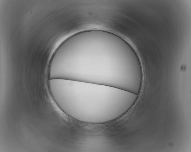 X0000113131056200909040928