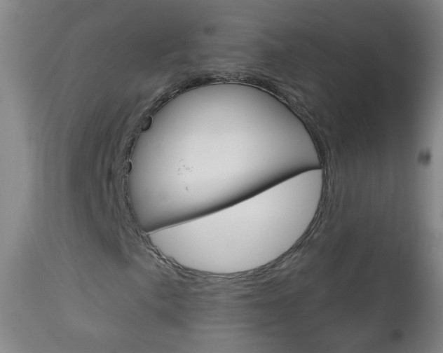 X0000113131057200909040927