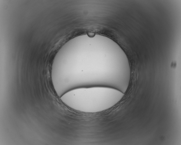 X0000113131058200909040927