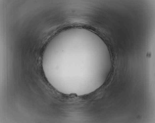 X0000113131061200909040927