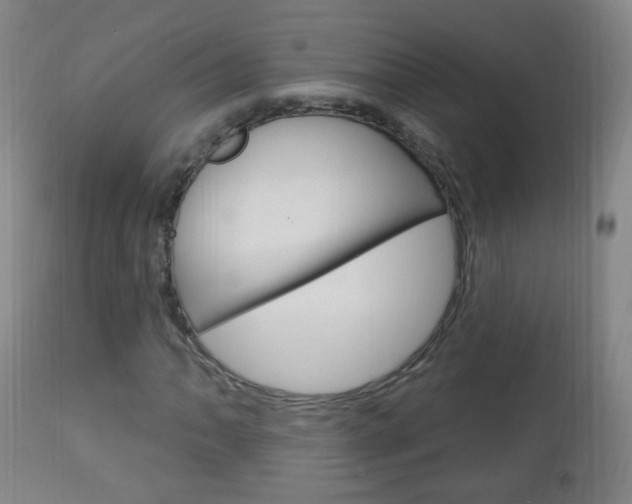X0000113131062200909040927