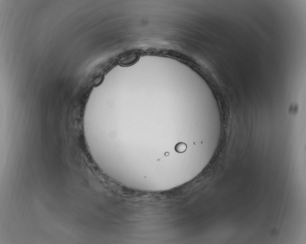X0000113131063200909040927