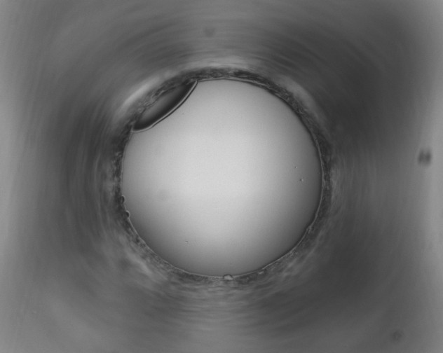 X0000113131064200909040927