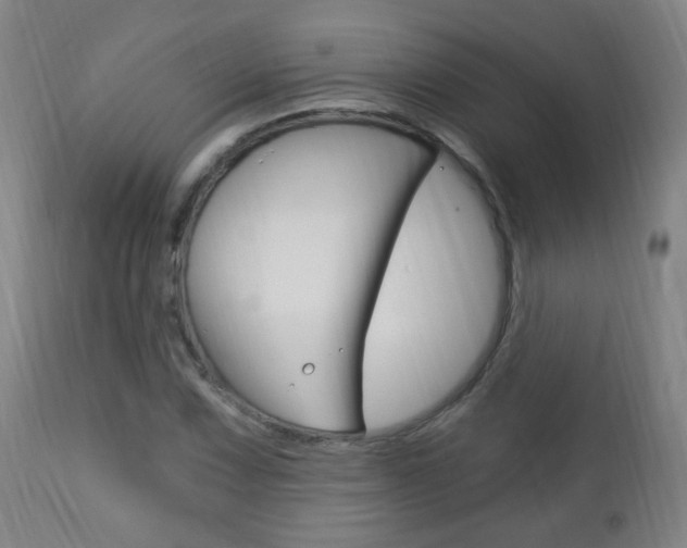 X0000113131067200909040927